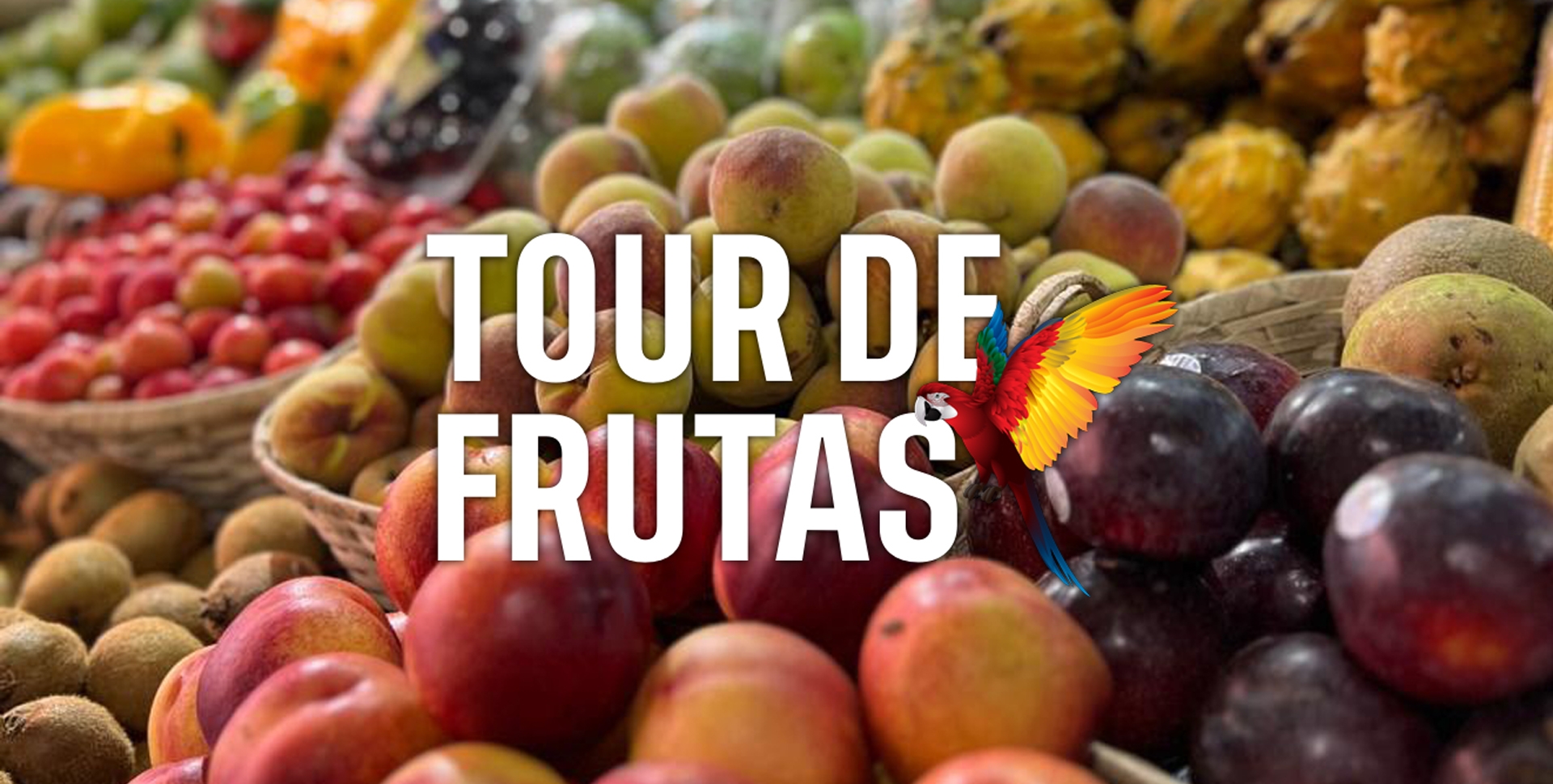Tour a guatape